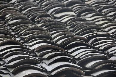 《死或生：沙滩排球维纳斯假期》庆祝6.5周年；纪念穿搭抽卡最多免费70抽