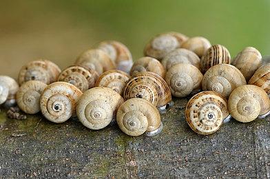 《非诚勿扰3》发布定档预告 12月30日上映